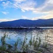 Neighbourhoods to Find Waterfront Homes for Sale in Kelowna BC