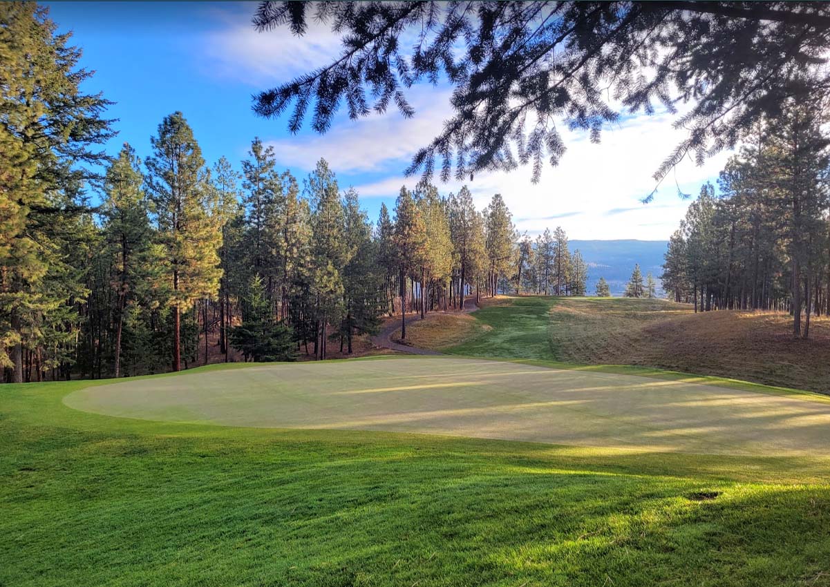 quail and bear golf course kelowna quail ridge university district