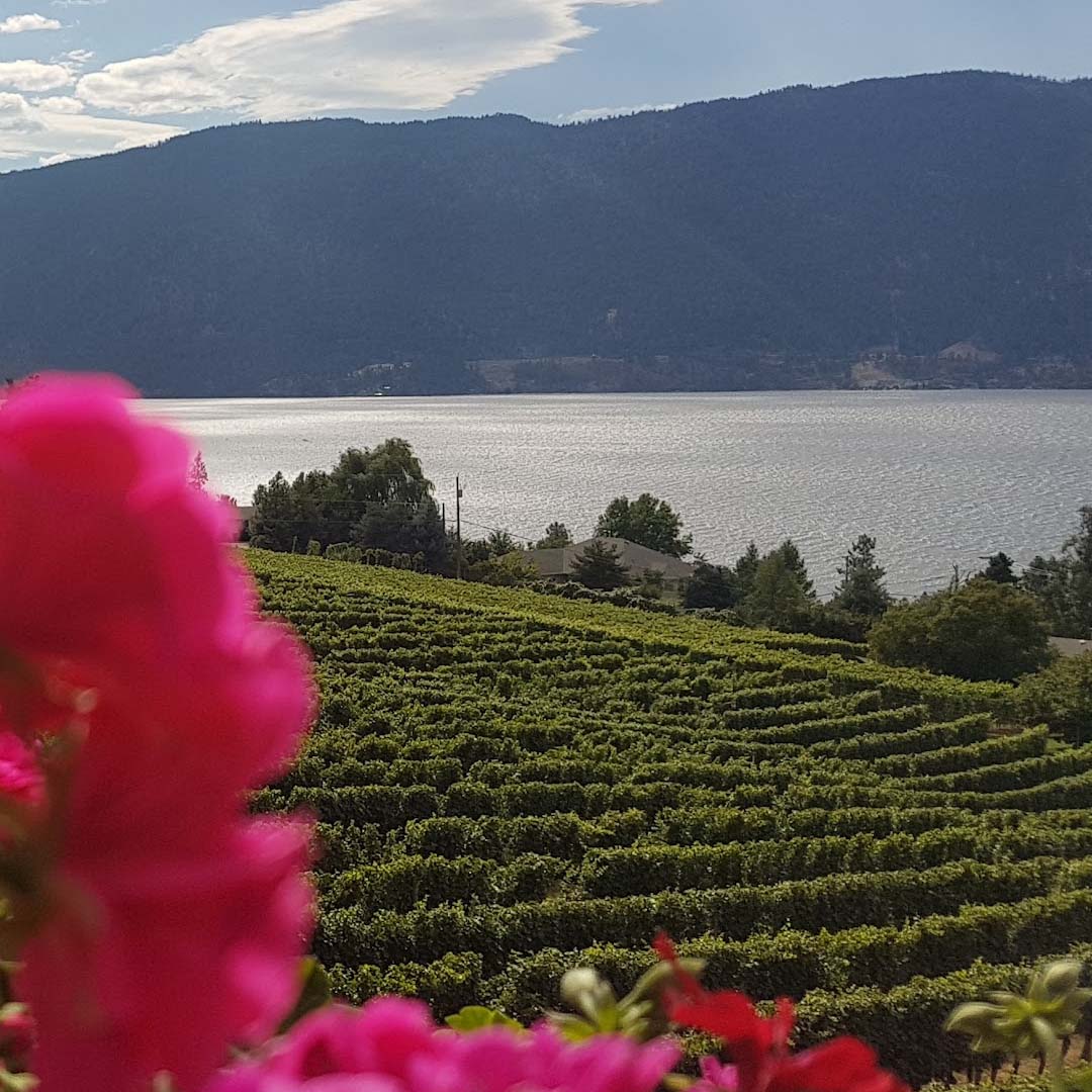 carrs landing lake country bc acreage for sale